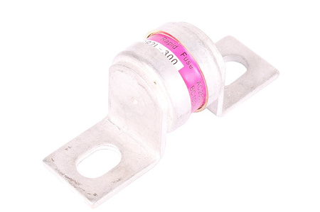 SAUGIKLIS CR2L-300 FUJI ELECTRIC 300A, 250V SAUGIKLIS