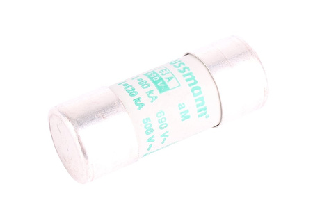 SAUGIKLIS 63A 690V BUSSMANN 22X58 690V, 63A SAUGIKLIS