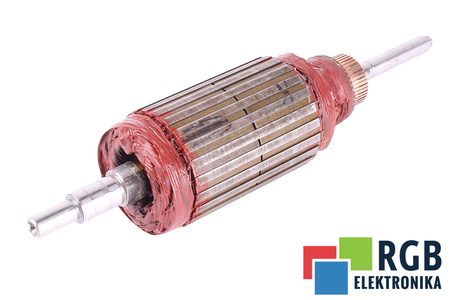 T4F3B1 ALSTOM ROTORIAUS