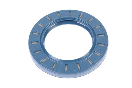 45X72X8 FREUDENBERG BAU4SLX2 72NBR902 PAKAVIMAS