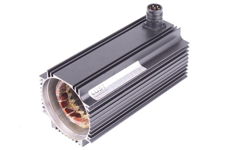 PSM-04-20R83-115 LUST STATORIAUS