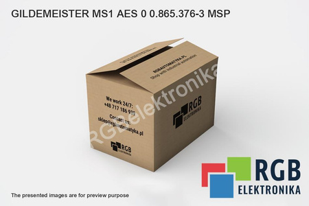 MS1AES0 GILDEMEISTER 0.865.376-3 MSP