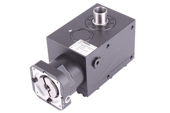 MKSH0/190053 VOGEL PAVARA