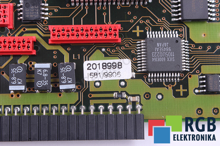 2018998 SICK SKIRTAS PLS101