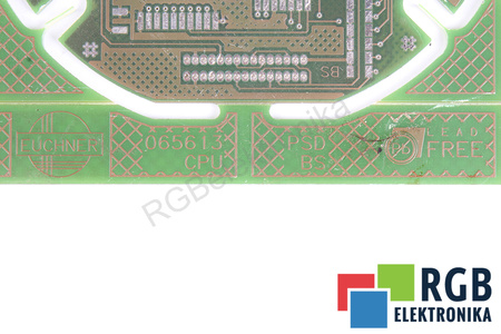 065613 EUCHNER CPU DALIMS