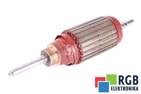 T4F3B1 ALSTOM ROTORIAUS