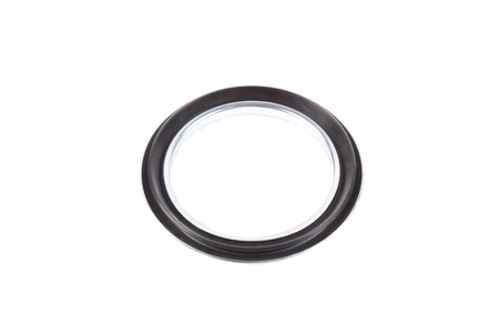 45X62X4.5 ŽIEDO PLOMBA