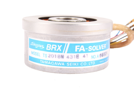 TS2018N431E41 TAMAGAWA IŠSPRĘSTI