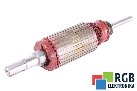 T4C3B1-R0506 ALSTOM ROTORIAUS