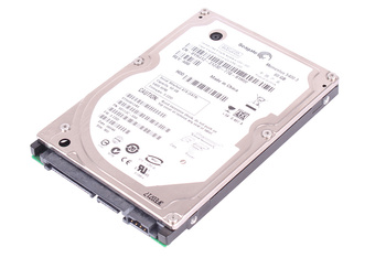 ST960813AS SEAGATE