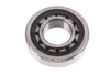 NU307-E-XL-TVP2 FAG 35X80X21 12600RPM, 7900RPM, 35MM, 80MM, 21MM, 76000KN, 63000KN RITININIS GUOLIS