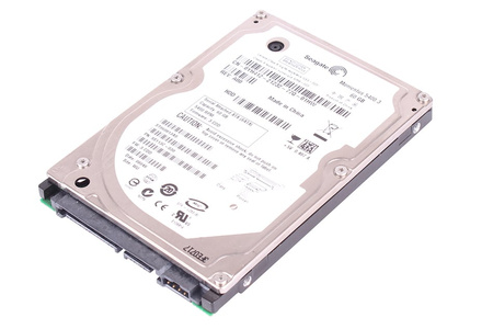 ST960813AS SEAGATE