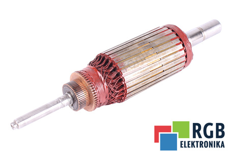 T4C3B1-R0506 ALSTOM ROTORIAUS