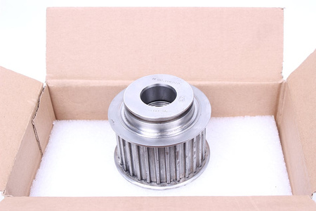 31X87X51 DANTYTASIS SKRIEMULYS