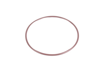 100X3 FPM ORING ŽIEDO PLOMBA