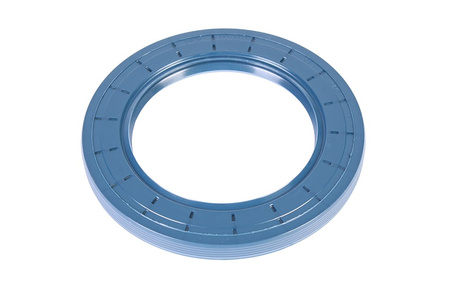 60X90X8 FREUDENBERG BAUM4SLX7 72NBR902 PAKAVIMAS