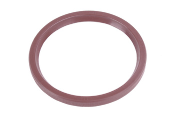 50X58X5 BAUMÜLLER VITON RADIAL BA FKM PAKAVIMAS