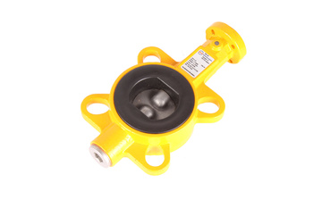 Z011-A EBRO ARMATUREN DN50 DRUGELIO VOŽTUVAS